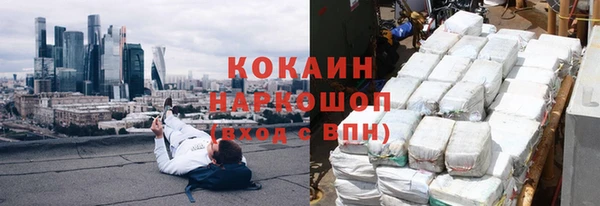 шишки Беломорск