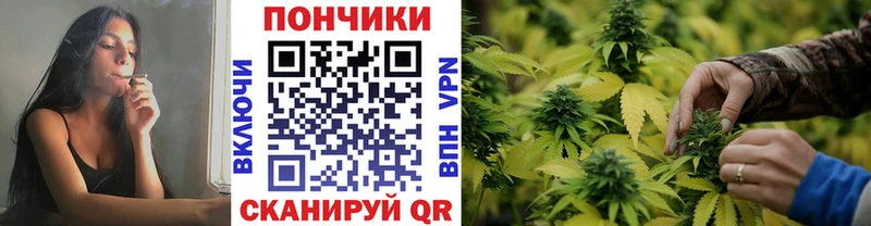 Купить закладки  Котовск  Бошки Шишки планчик 